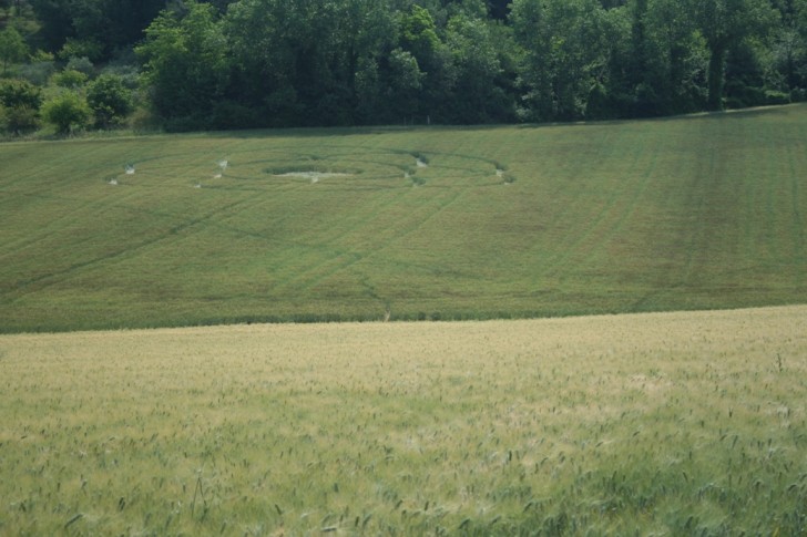 Crop Circle 2011  - Page 7 Italie-02b-2976703