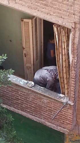 اصطياد زوجات مع شغل البيت Xkkwsv0ru31x