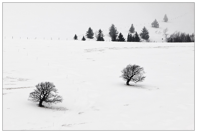 Le paysagiste du minimalisme (+pano) _1280542-30d603d