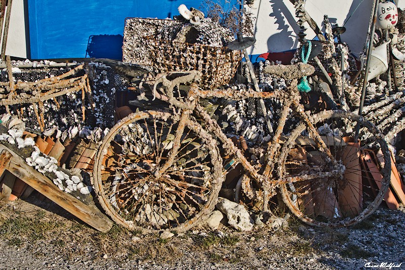 La paillote d'Oléron. Img_3333---copie-2a6e1c9