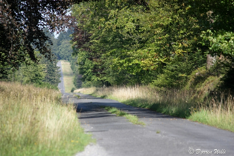 Ballade dans les Hautes fagnes et les sous-bois le 10-08-2011 Img_3004-800x600--2bbda7c