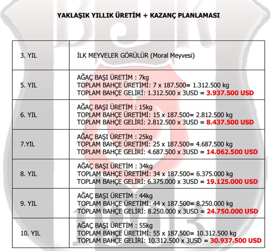 Beşiktaş başkan adayı Rüzgar Sağnak, uzun süredir merakla beklenen ''borcu sıfırlama'' projesini açıkladı. Bjkborc2