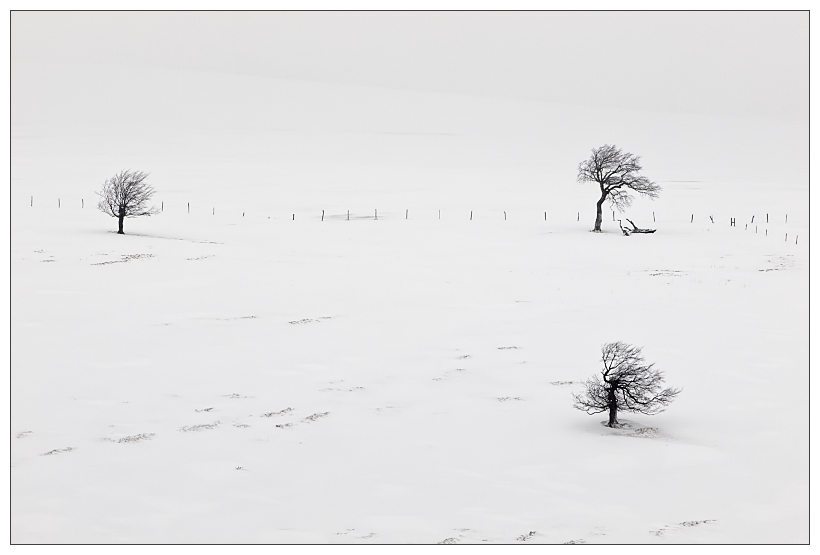 Le paysagiste du minimalisme (+pano) _1280547-30d6052