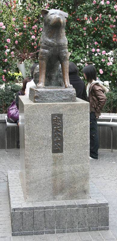     Hachiko Normal_shibuya_img_0881-2f72407