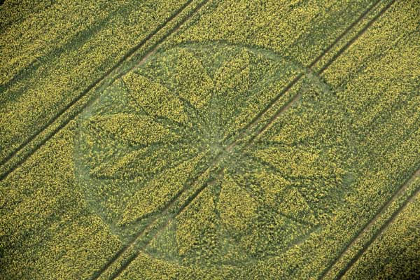 2012 - Crop Circle 2012  Gb944-33a799b