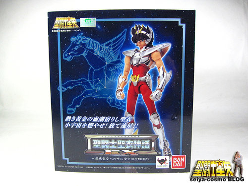 Pegasus Seiya New Bronze Cloth - Page 2 A-36145c2