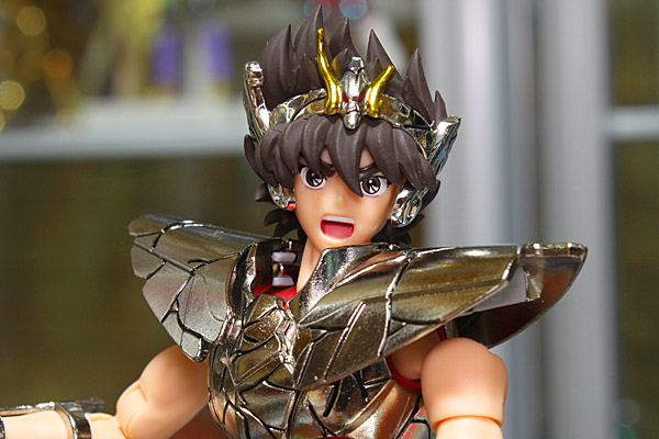 Pegasus Seiya New Bronze Cloth Sei-22-35fb538