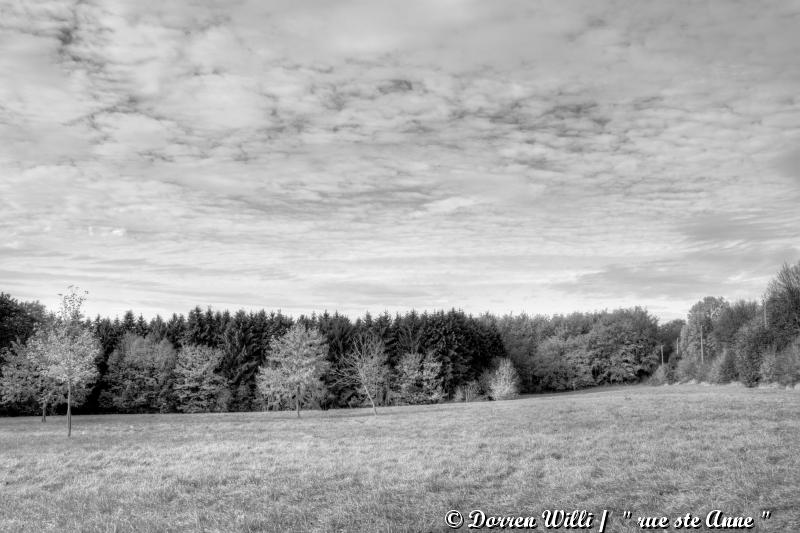 Beyne-heusey ( chateau de neufcour , la rue ste anne sa chapelle ) HDR Dpp_ste-anne---0006-34d583d