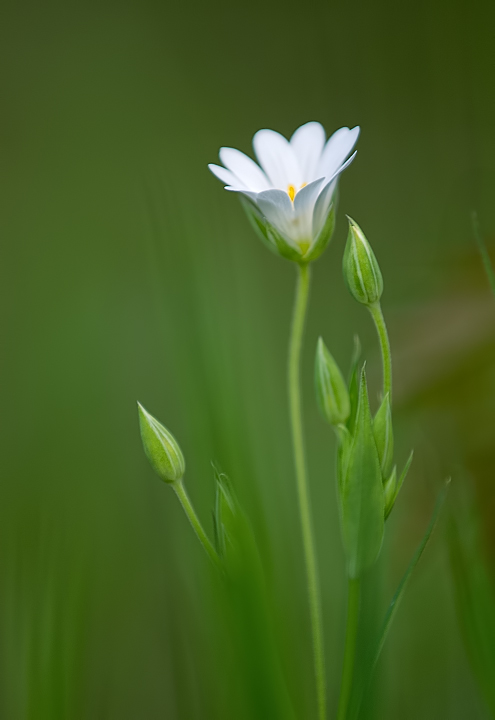 Photos du jour 11/04/2012 Lumix _1350062-3371c08