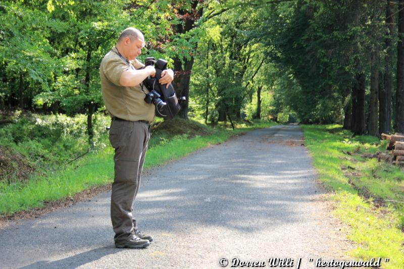 promenade sur hertogenwald - les hautes fagnes le 28-05-2012 Dpp_hertogenwald---0025-350e1d0