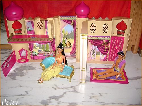 [Collection] mes poupées Disney ! Jasmine-s-castel--3443d46