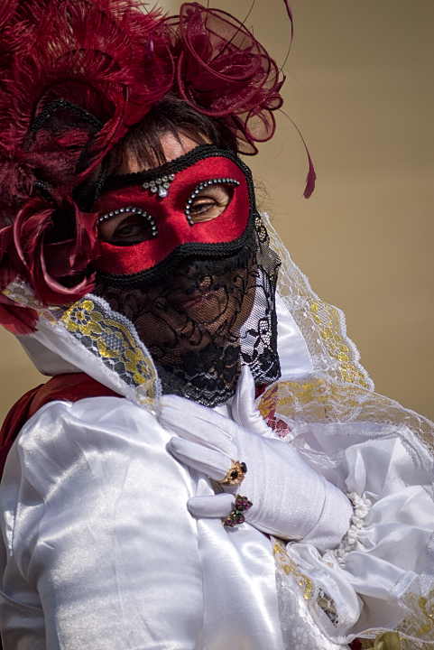 Carnaval Vénitien de Remiremont " Les Photos " - Page 3 _1330584-32f91e5