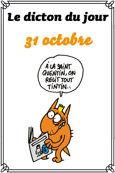 dicton du jour / dicton humour - Page 6 Dicton1031-392abcd