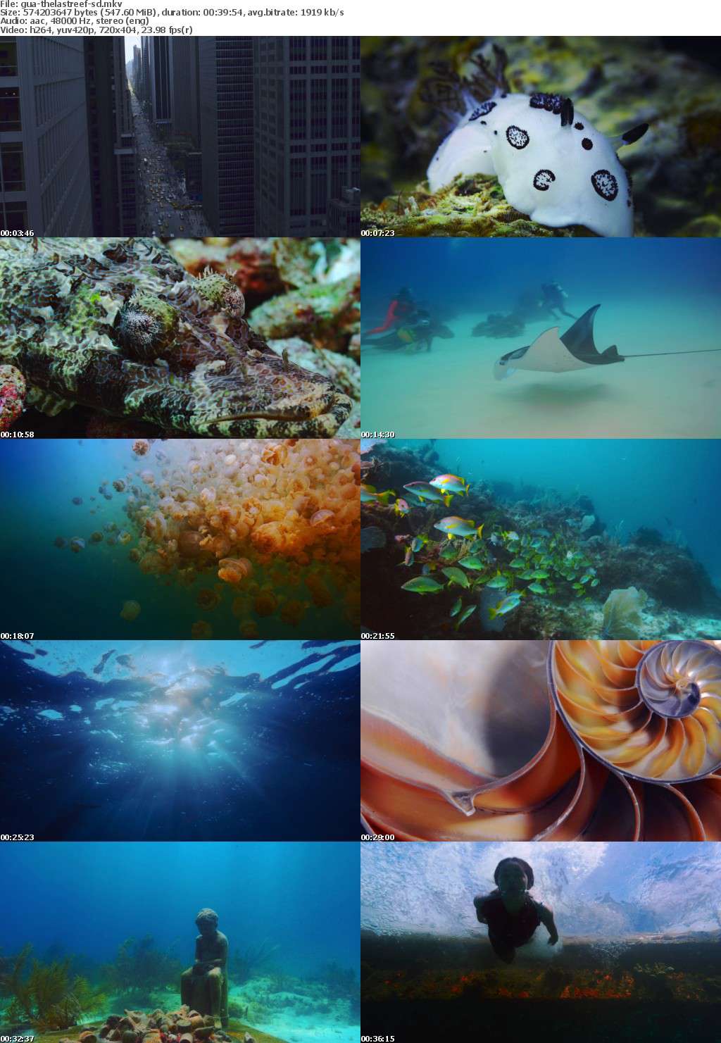 The Last Reef 2012 BDRiP -GUACAMOLE 230001096e6222dc710625a5125dab914a7b853c