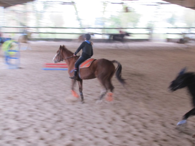 8 ans d'équitation..♥ - Page 3 Img_8003-3c315cf