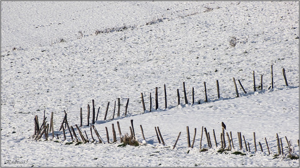 Ambiance Hivernale ... ( GH2 ) Pb_1121-3b31df0