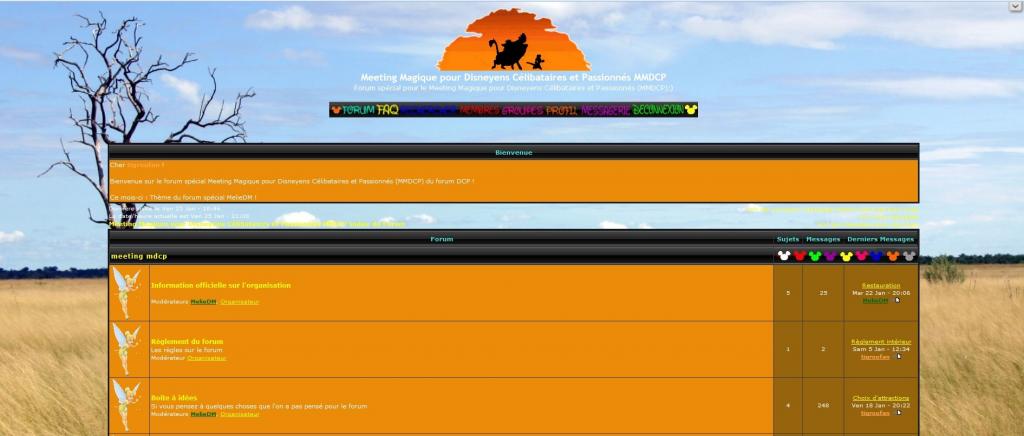 [Pré-TR + TR] Le MMDCP : Meeting Magique pour Disneyens Célibataires et Passionnés !! (2 février 2013) Forum-3b6338a