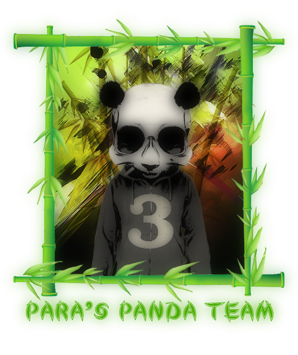 WTF ? Skin-panda-1ere-image-text-3ceedeb