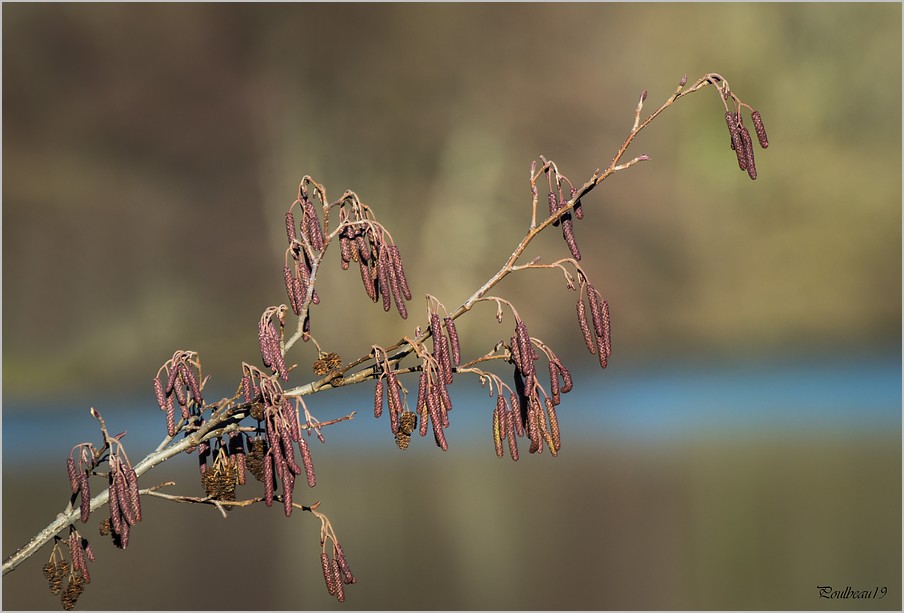 POTD Lumix du 05/01/13 Pb_1066-3ae58cc