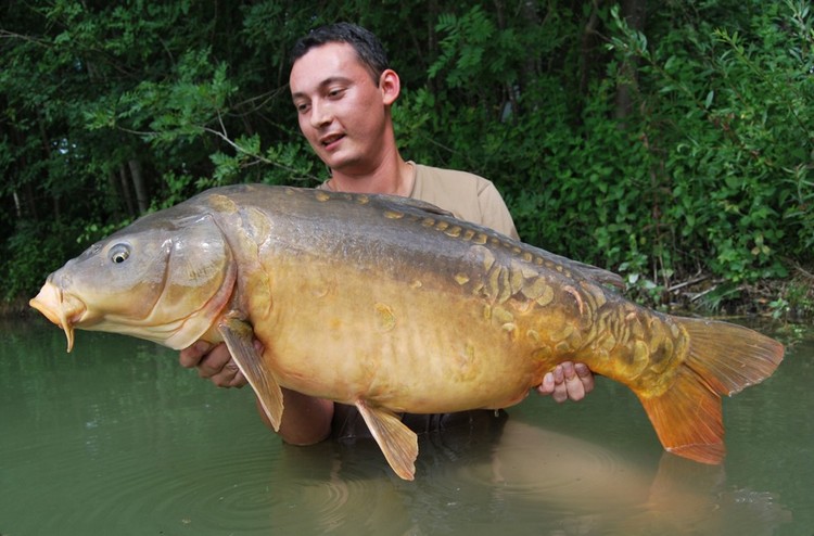 Un poisson,une histoire... Mir20-4179164