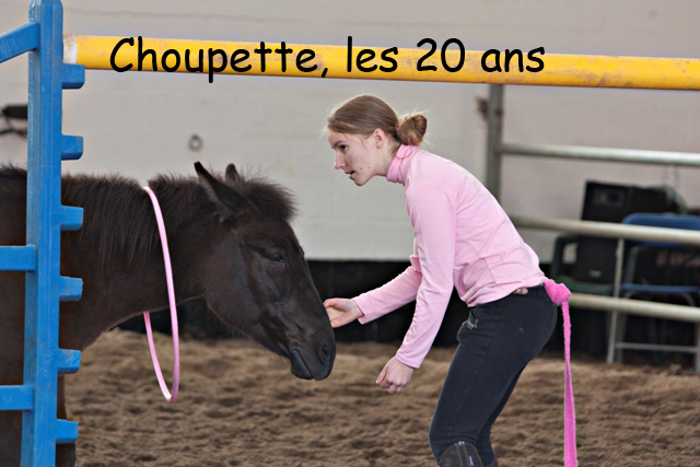 8 ans d'équitation..♥ - Page 7 Img_6877-copie-3e26c39