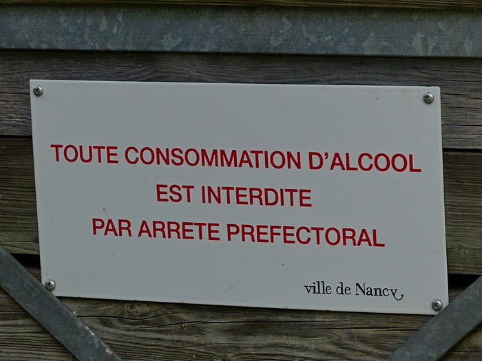 Lumixday 2013 NANCY - les photos 27-4130154