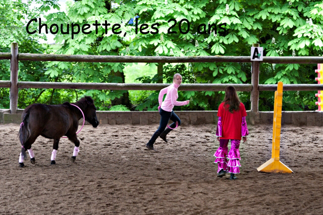 8 ans d'équitation..♥ - Page 7 _mg_5731-copie-3e26bb7