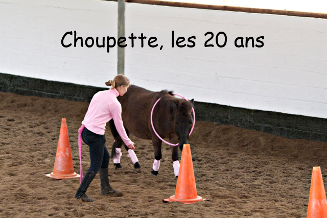 8 ans d'équitation..♥ - Page 7 _mg_5726-copie-3e26b54