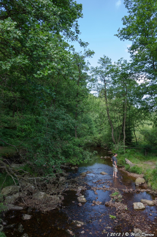 ma ballade sur les fagnes le 20 juillet 2013 Dpp_-nature--0003-3fb8d54