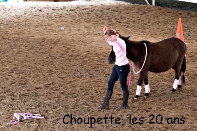 8 ans d'équitation..♥ - Page 7 _mg_5733-copie-3e26bdd