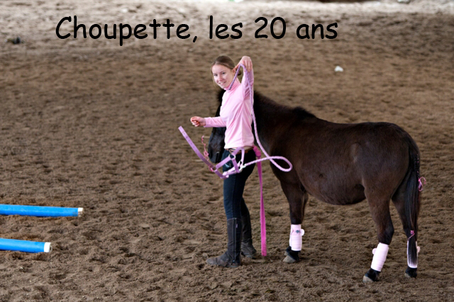 8 ans d'équitation..♥ - Page 7 _mg_5722-copie-3e26ac4