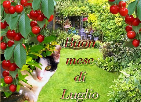 Venerdì 1 luglio Buon-mese-di-luglio--3f50ab1