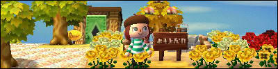 Animal Crossing Life 9-41b4973