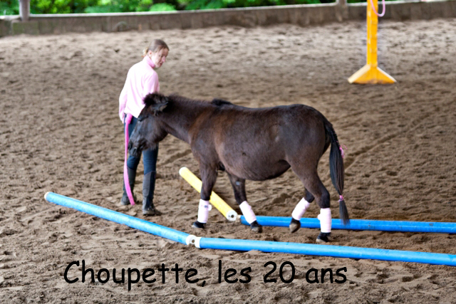 8 ans d'équitation..♥ - Page 7 _mg_5723-copie-3e26b2c