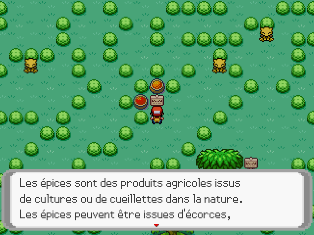 Pokémon Spécial RPG 02-3f27b81