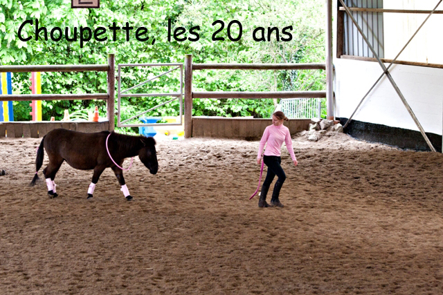 8 ans d'équitation..♥ - Page 7 _mg_5724-copie-3e26b3f