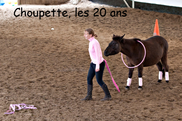 8 ans d'équitation..♥ - Page 7 _mg_5732-copie-3e26bd5