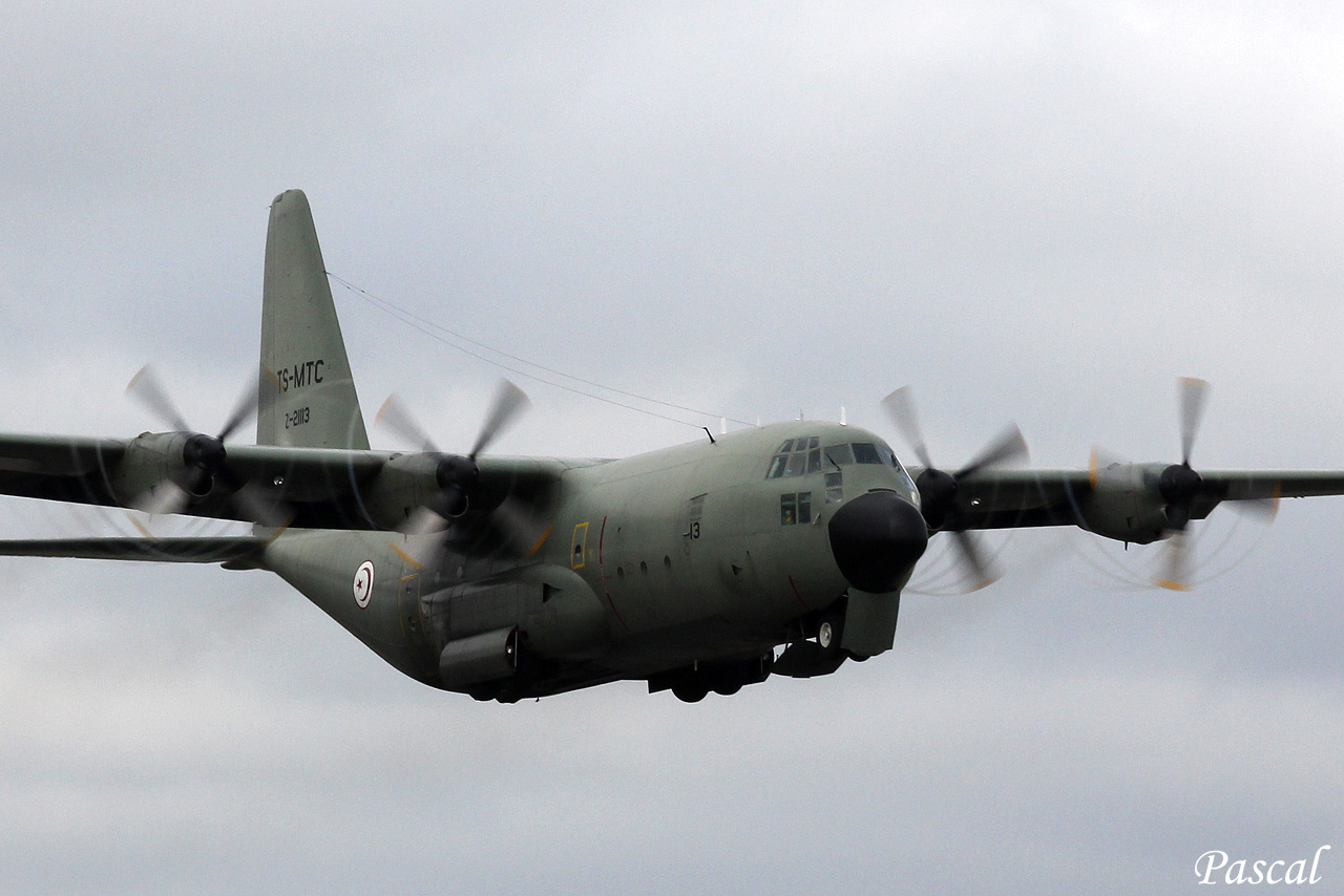 Lockheed C-130E Hercules Tunisia Air Force TS-MTC + Divers le 03.02.14 Taf-3-copie-43b3361