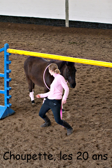 8 ans d'équitation..♥ - Page 7 _mg_5728-copie-3e26b84