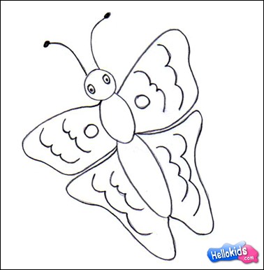 تعلم كيفية رسم فراشة Butterfly-step-3-source_qeq