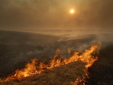 The Annual Burning of the Tall Blue Stem Grasses of KS Jim-richardson-carefully-managed-fires-sweep-across-the-flint-hills-in-spring