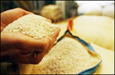 Cảnh báo gạo làm từ… nhựa  20110122100233_gao