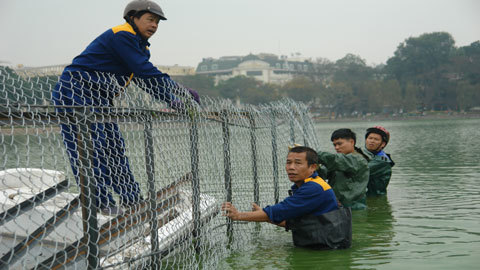 Ra giữa Hồ Gươm xem “nhà mới” cụ rùa 20110302163313_25