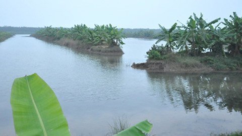 Nguyên Phó Thủ tướng Vũ Khoan lên tiếng về Tiên Lãng 20120210154950_1