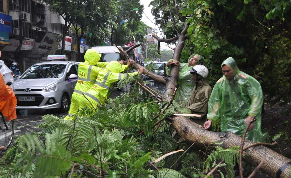 Cập nhật cơn bão số 1 tình hình thiệt hại và ảnh hưởng của bão 20160728094207-duong-le-duan