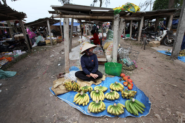 Hình ảnh Trầm lặng phiên chợ quê Thủ đô ngày giáp Tết 20140115131536-img-4793