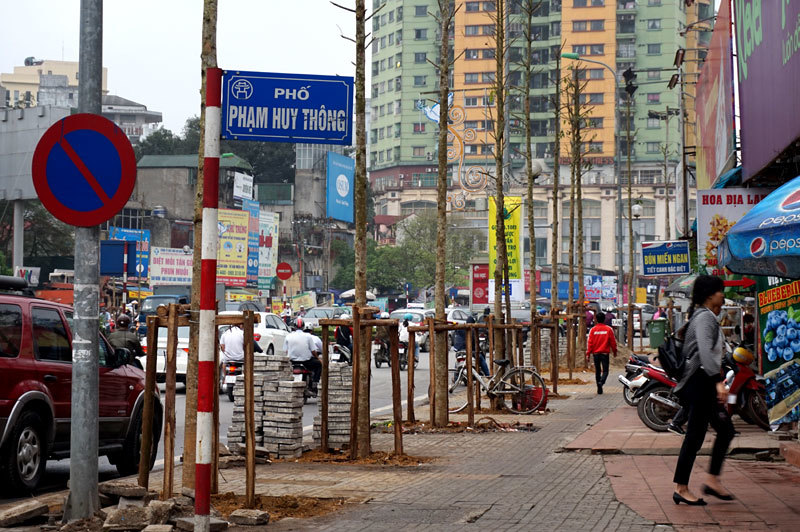 Những hàng cây mới vừa được thay thế trên phố Hà Nội 20150320180409-nguyenchithanh11