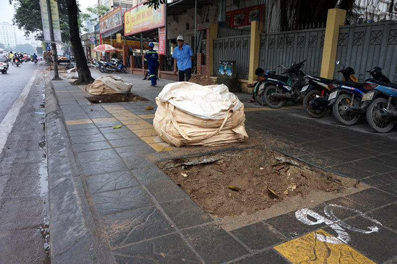 Những hàng cây mới vừa được thay thế trên phố Hà Nội 20150320180409-nguyenchithanh13