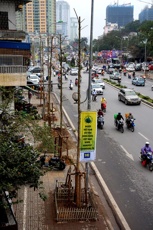 Những hàng cây mới vừa được thay thế trên phố Hà Nội 20150320180409-nguyenchithanh4