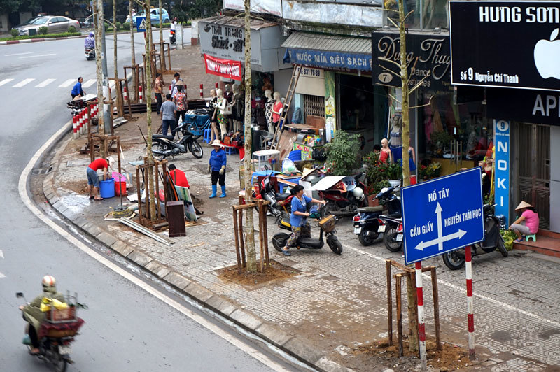 Những hàng cây mới vừa được thay thế trên phố Hà Nội 20150320180409-nguyenchithanh8